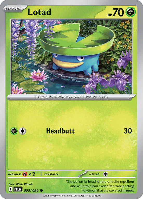 Lotad 005/094 Common Reverse Holo